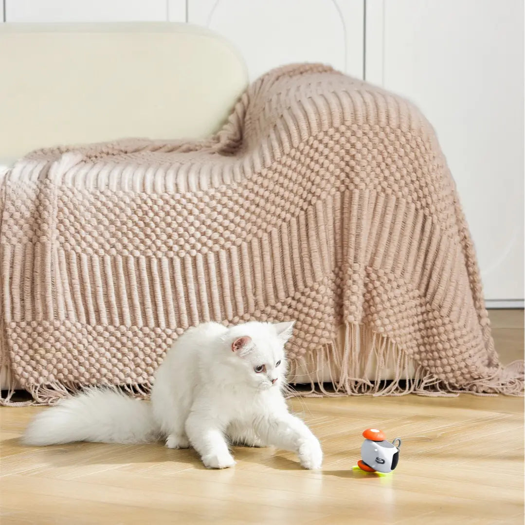 Smart Rolling Cat Toy: Remote-Controlled Electric Ball for Cats Self-Amusing Rolling Ball Pet Toy for Cats